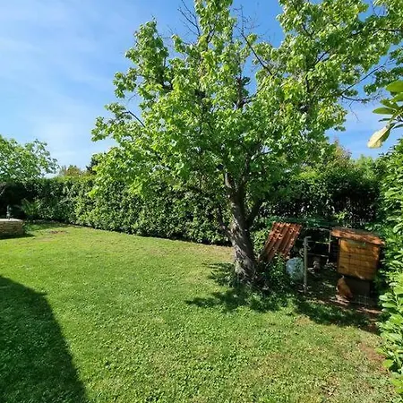 House 15min From Montpellier And The Beaches *